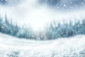 Winter Maintenance for Your Heat Pump