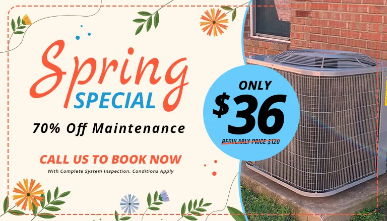 Spring Special Coupon - 70% off Maintenance