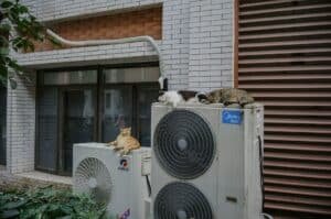 Heat Pump Service