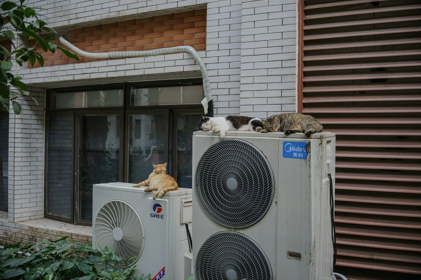 Heat Pump Service